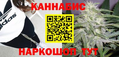 spice Будённовск