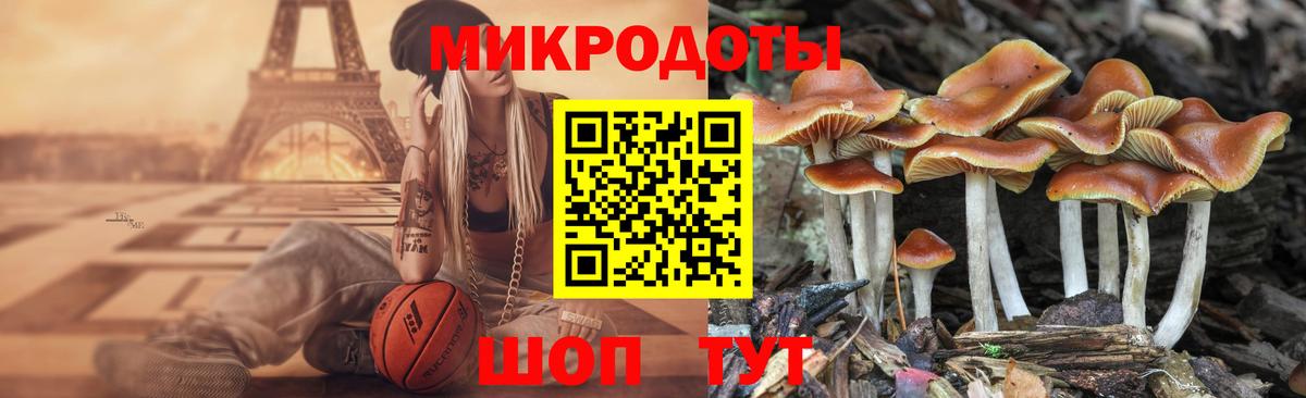 Борисоглебск  Галлюциногенные грибы мицелий  Галлюциногенные грибы Psilocybe  Вход с VPN 