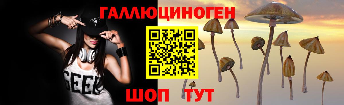 Псилоцибиновые грибы Psilocybine cubensis Борисоглебск